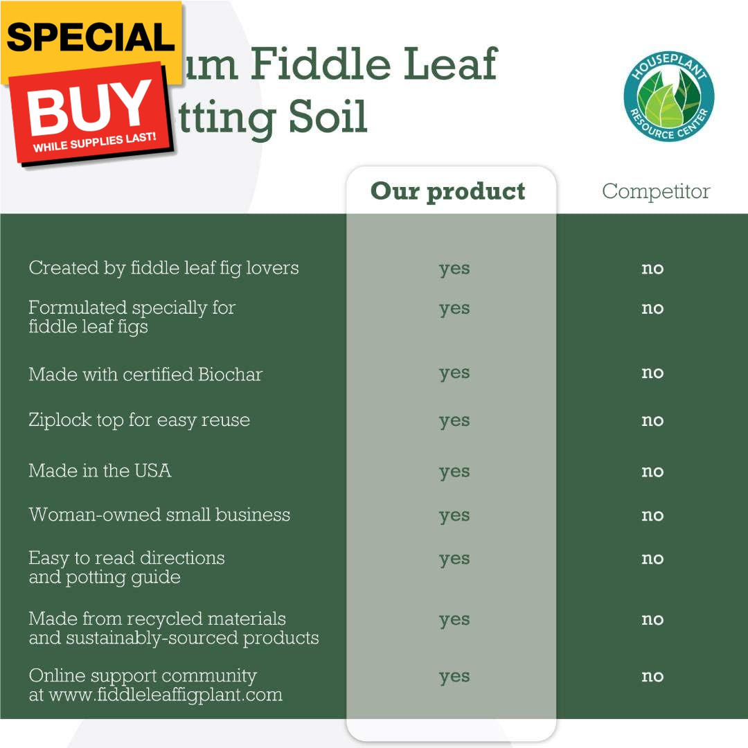 Fiddle Leaf Fig Potting Soil Mix by Fiddle Leaf Fig Plant Resource | Premium Org