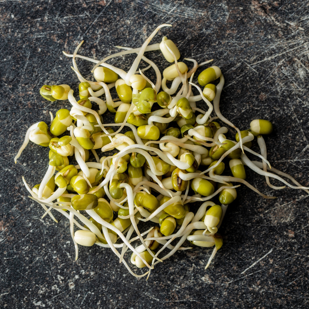 Fresh Green Gram Seeds | Moong | Mung Bean | Heirloom Non-GMO | Asian Vegetables