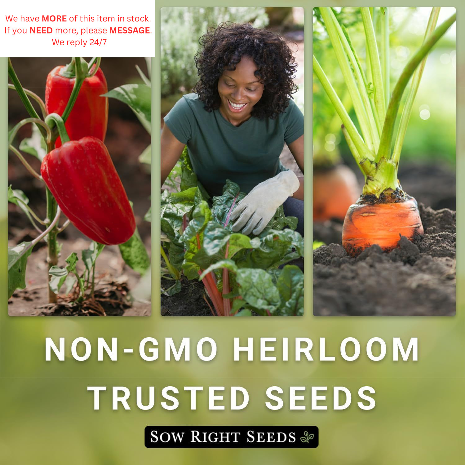 Sow Right Seeds – Tendersweet Watermelon for Planting – Non-GMO orange