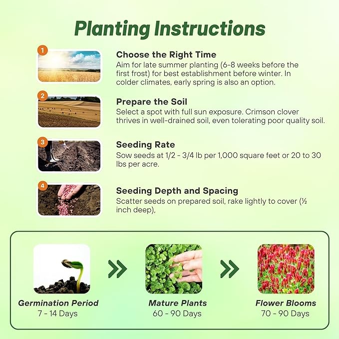 40 LBS – Inoculated Bulk Crimson Clover Seed For Planting Pastures, Cover