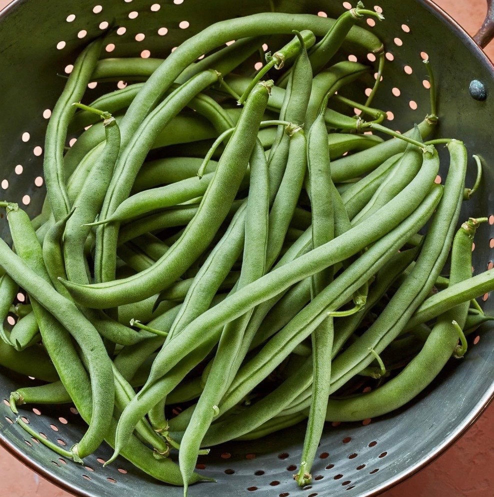 30 Blue Lake Pole Stringless Bean Seeds, Heavy Yield, Fresh 2026, Organic, Ohio