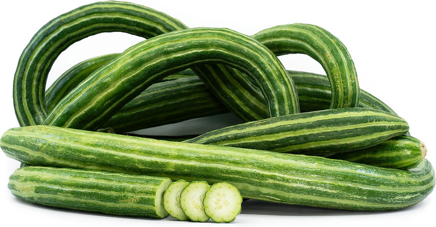 25 ARMENIAN YARD LONG CUCUMBER SEEDS ~ heirloomseedguy ~ NON-GMO ~ 2026