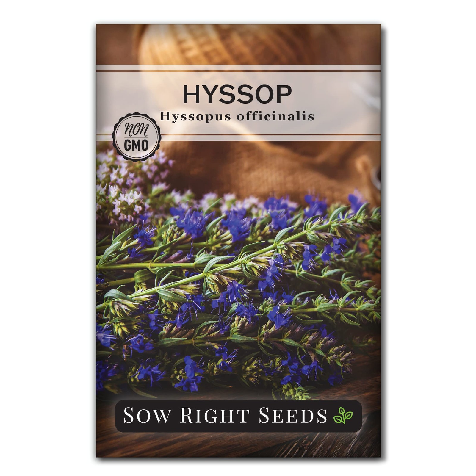 Sow Right Seeds – Hyssop Seed for Planting – Medicinal Herb to Plant purple