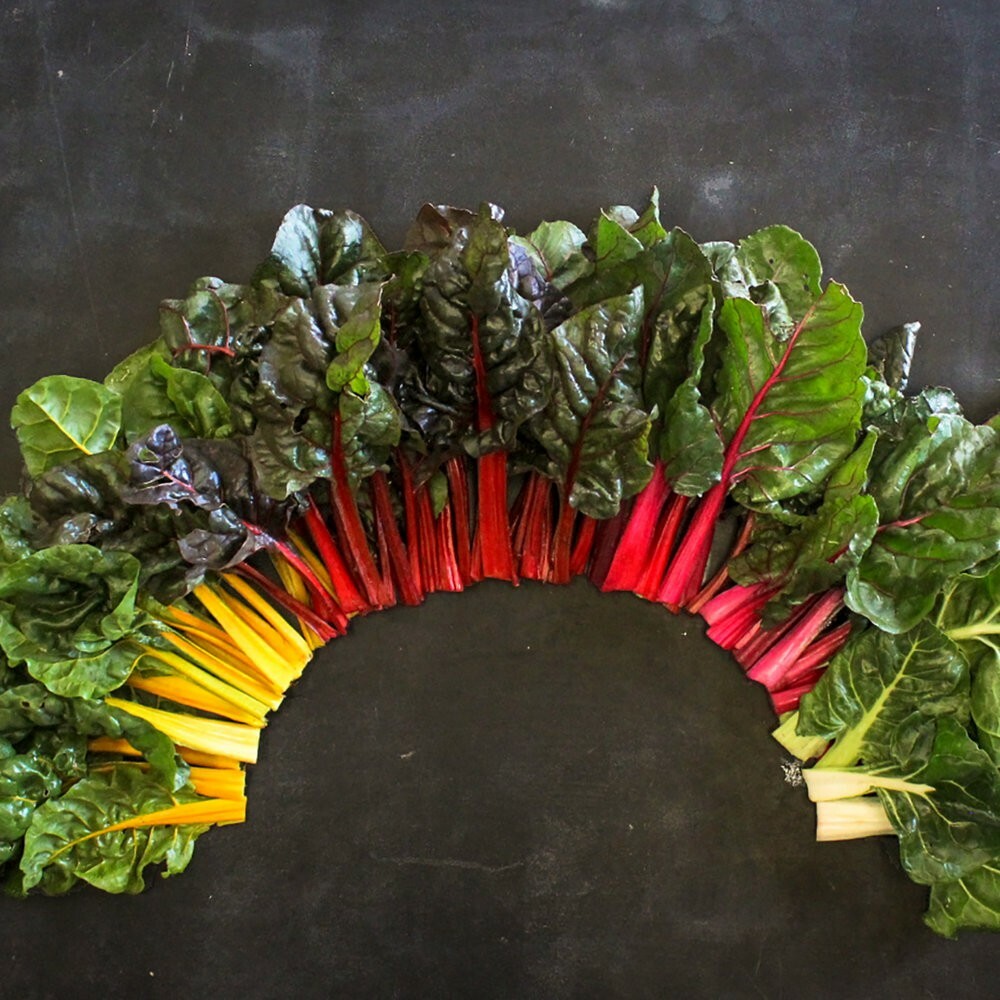 100+ RAINBOW SWISS CHARD SEEDS, HEIRLOOM/, Always Fresh For Your Garden