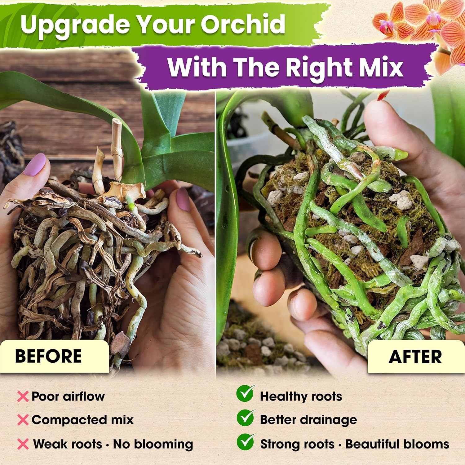 Orchid Bark Potting Mix with Moss & Bark
