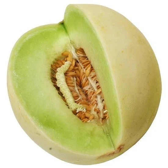 50+ Green Flesh Honeydew Seeds — Winter Melon ———— Heirloom