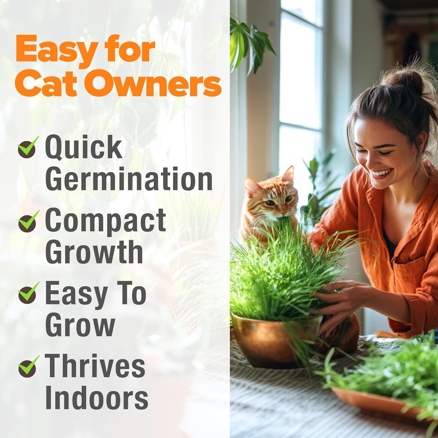 3200+ Indoor Cat Grass Refill – Non-GMO Grown Catnip, Oat & Alfalfa Seeds – …