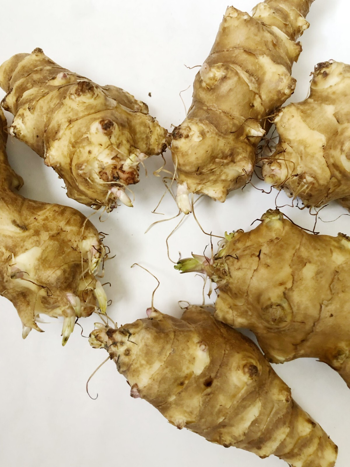 Jerusalem Artichoke Tubers – Individual Tubers For Planting – Sunchokes Sunroot