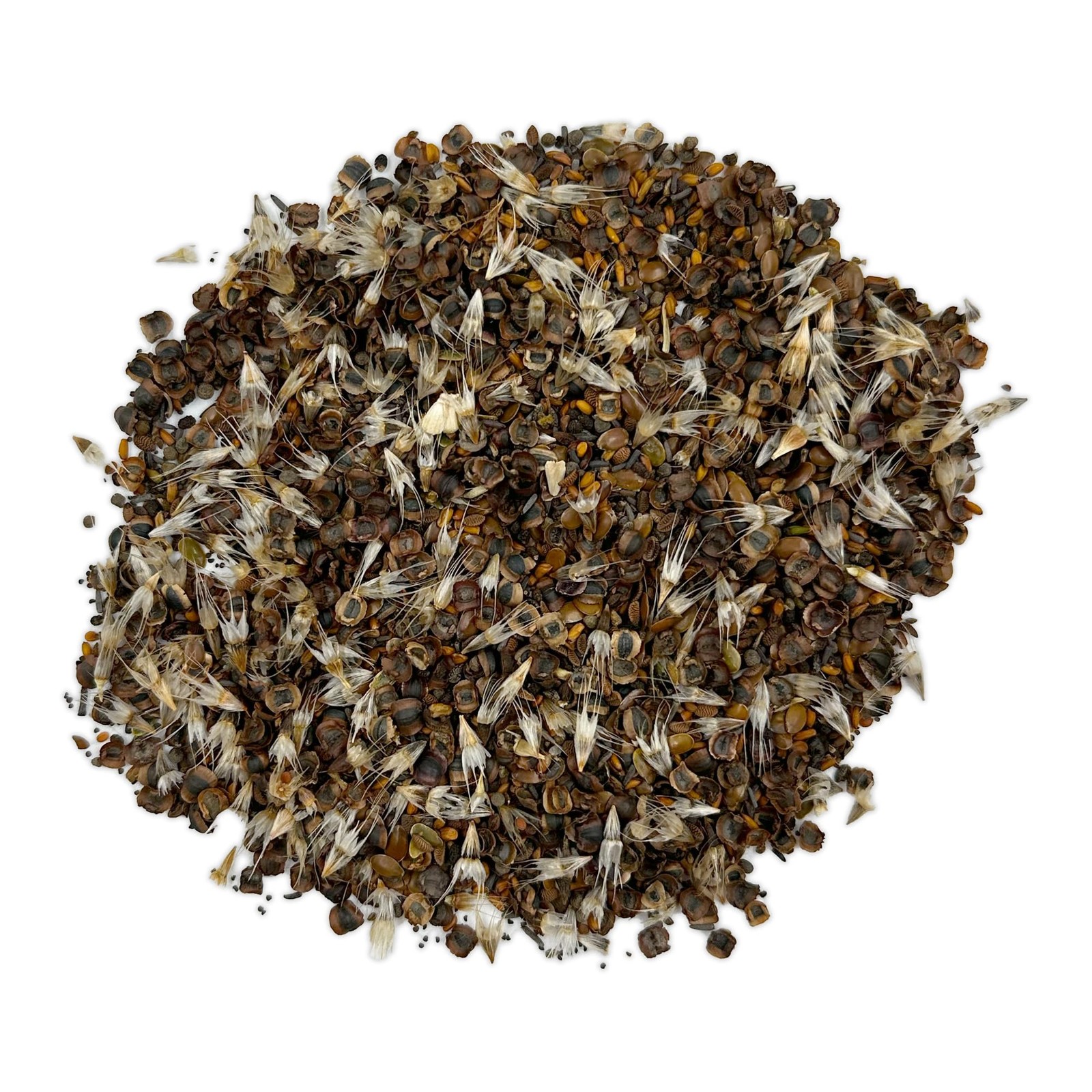 Wildflower Seeds Cool Season Mix, Non-GMO, Full Sun – 1 lb Pack