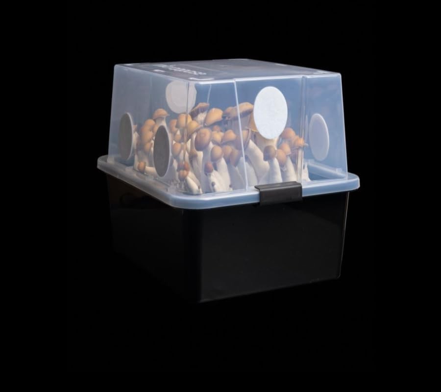 Grower’s Select 28Q Cube Mushroom Monotub 2-Pack – Optimal Fruit Chamber Kit