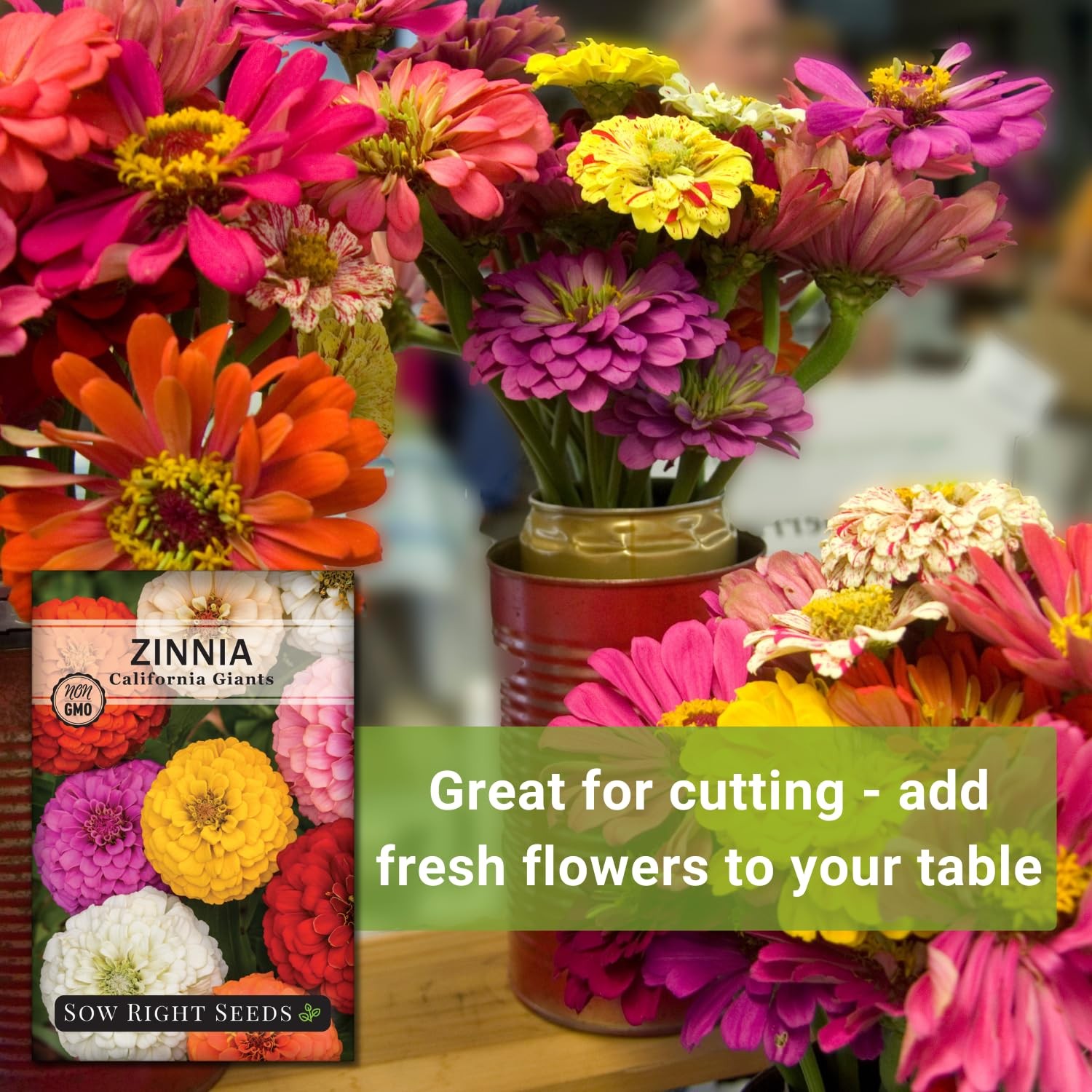Sow Right Seeds – California Giants Mix Zinnia for Planting –