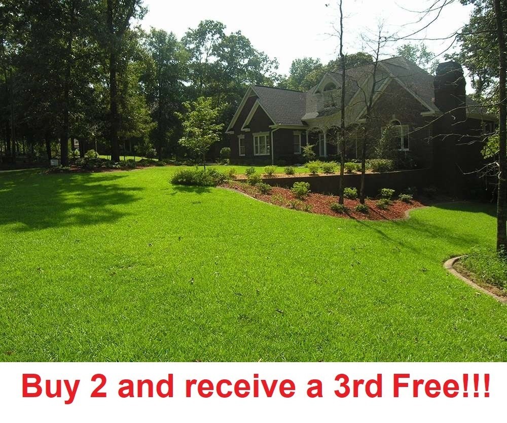 Centipede Grass Seeds – 4 ounces – can cover up to 1250 sq feet