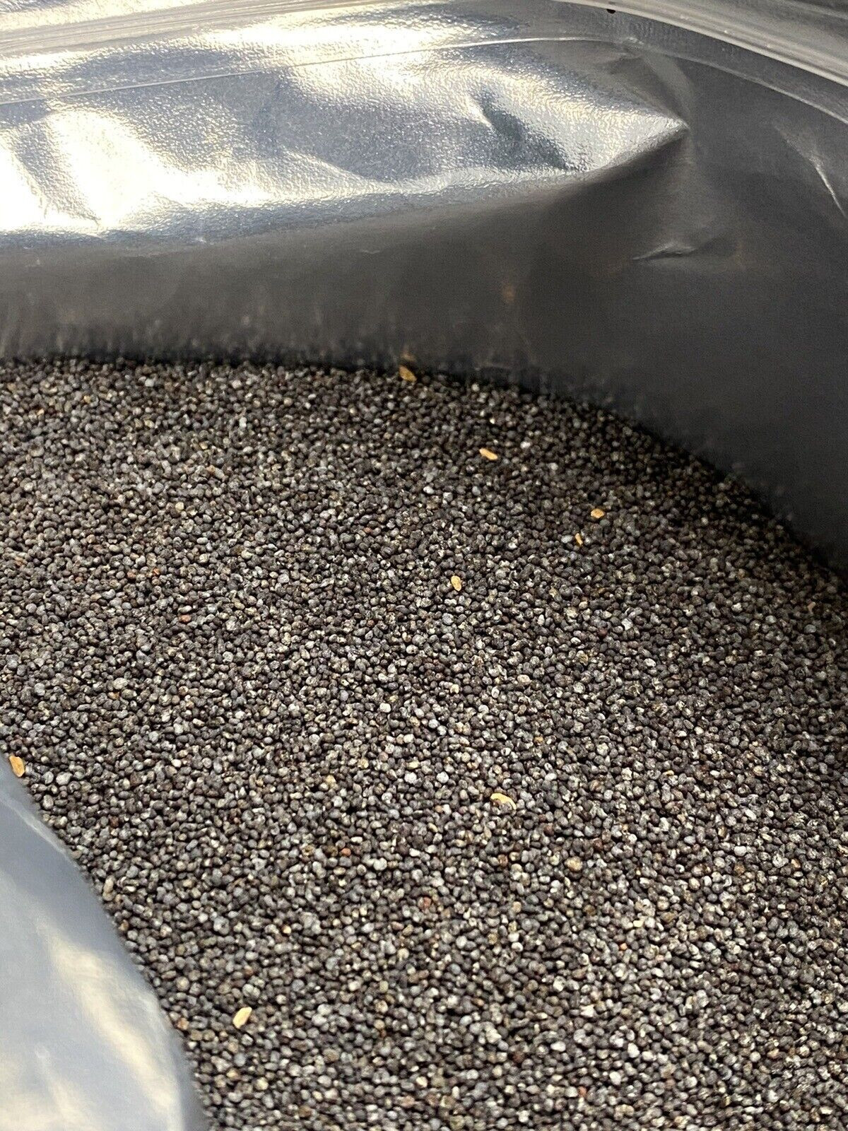 Poppy Seeds UK Papaver Som High Quality For Baking FAST SAME DAY PRIORITY SHIP !