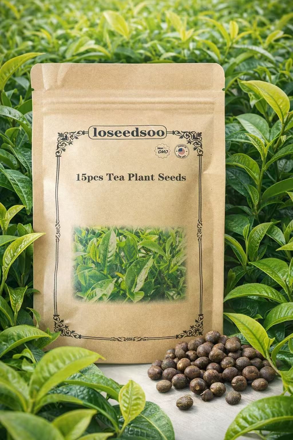 15 Tea Plant Seeds (Camellia Sinensis) – green Tea Tree Seeds for Planting