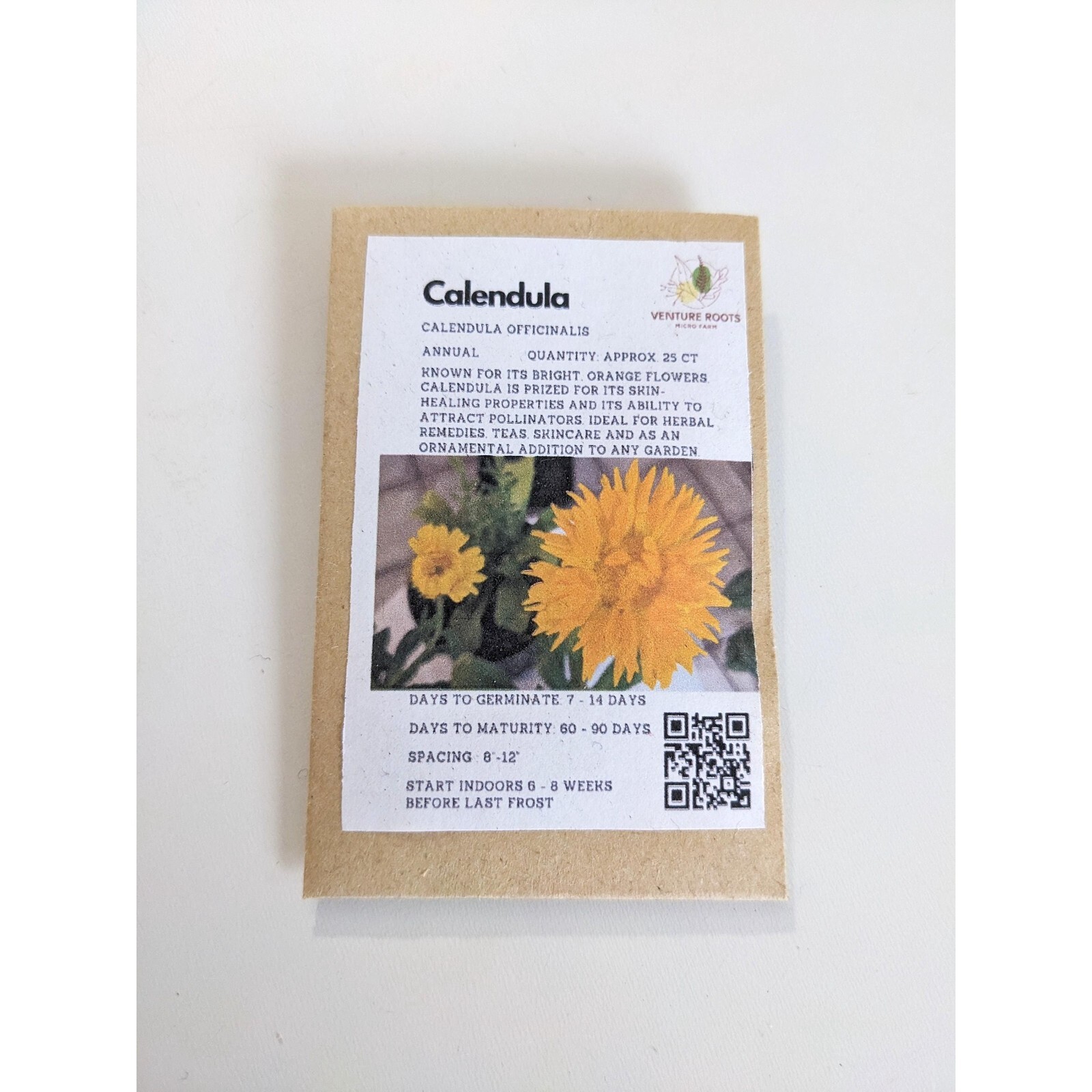 Calendula seeds (Calendula officinalis) – Seeds, Non-GMO, Open – Pollinated