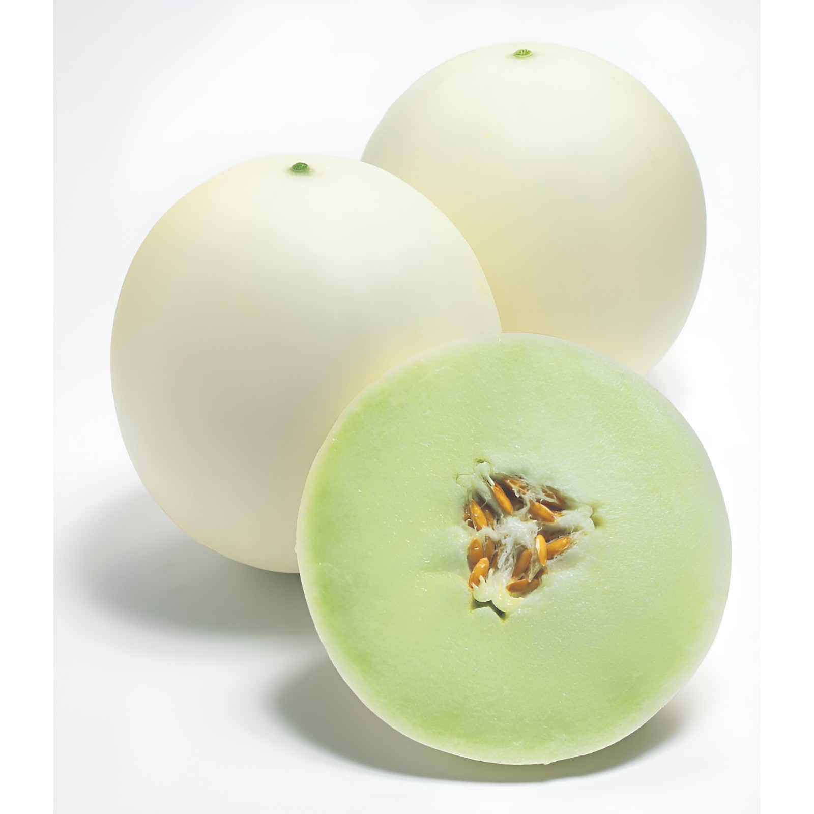 40 Premium Heirloom Tam Honeydew Melon Seeds – Large & Extra Sweet