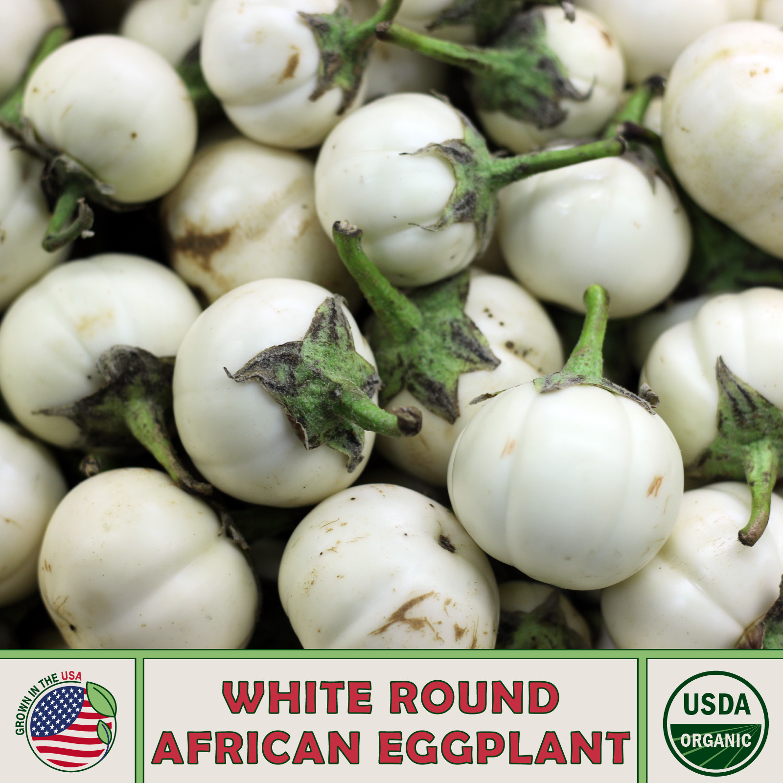 20 White Round African Eggplant Seeds, Solanum macrocarpon, Organic, Genuine USA