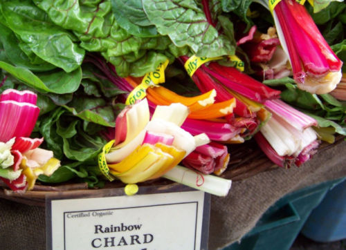 80 SEEDS – swiss chard RAINBOW SWISS CHARD colorful GroCo US – BUY 15-SHIPS FREE