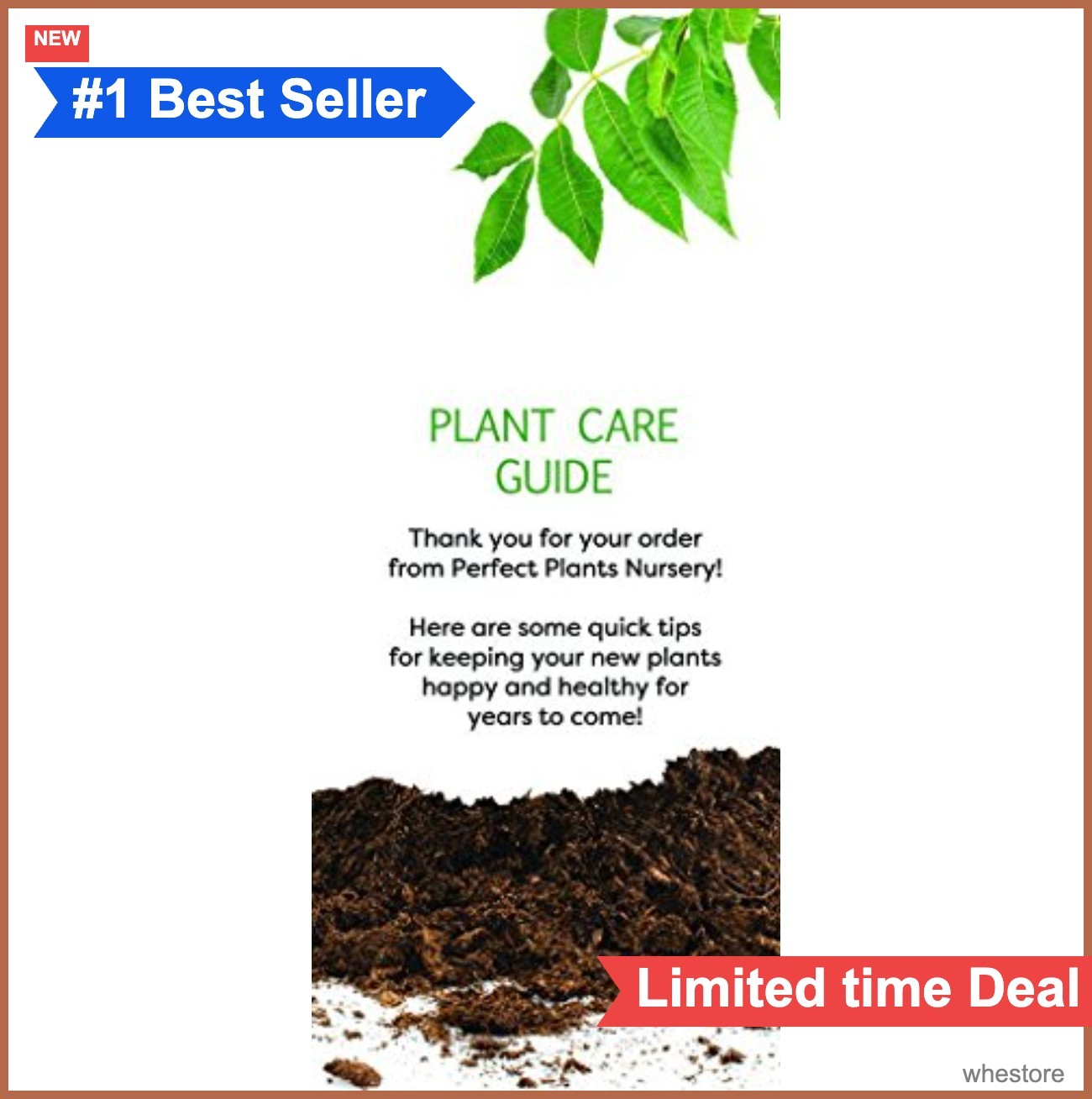 Blueberry Bush 3 Gallon Live Plant Tifblue Fruit Heavy Producer Full Sun