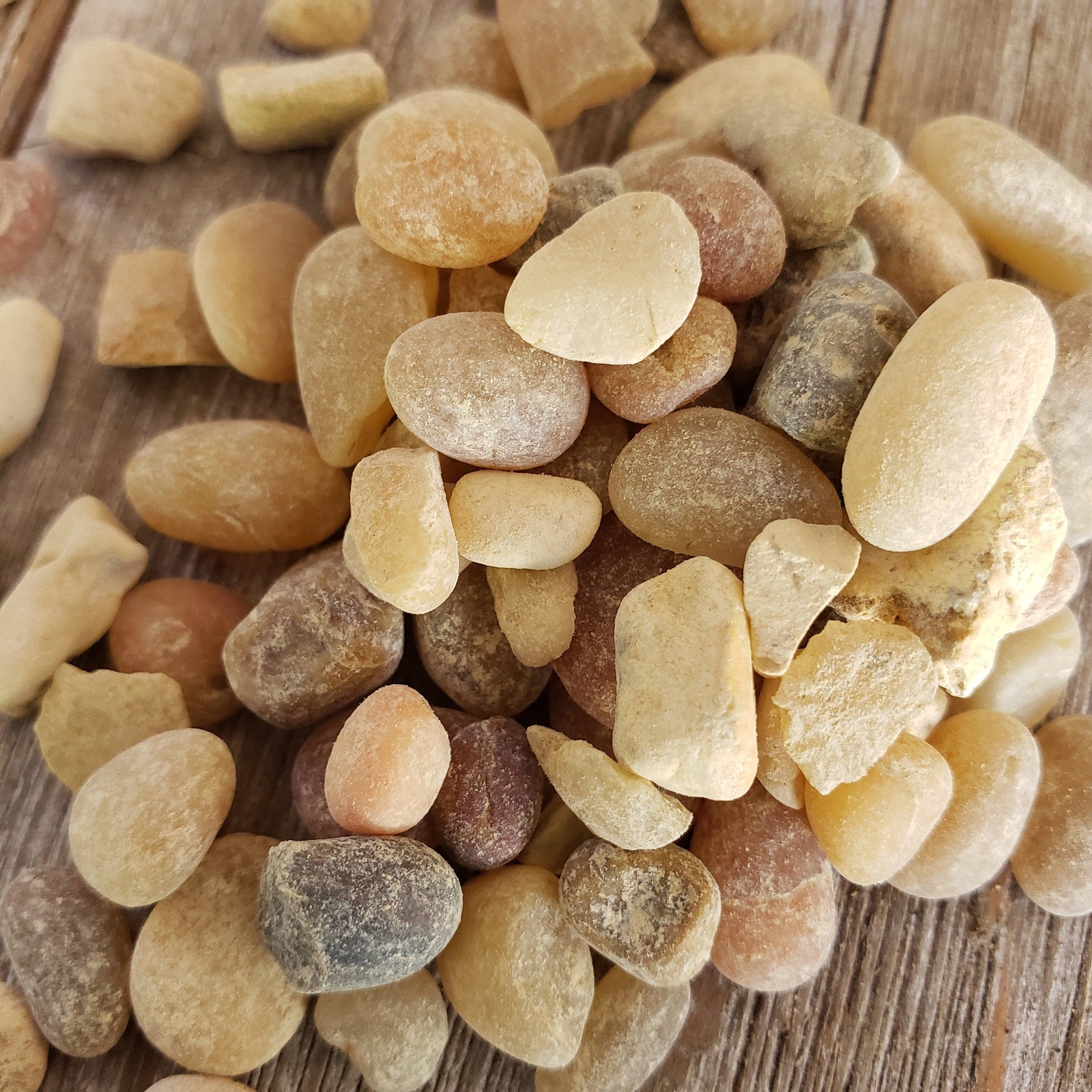 1 Lb 3/8 Parchment Pebble Cactus and Succulent Top Soil Dressing cactus Cacti Su