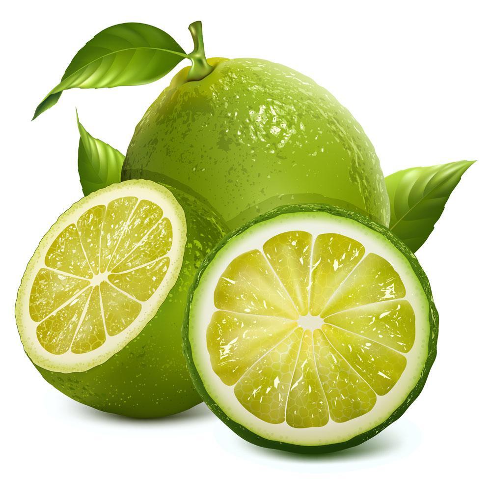 20 SEED PACK for Germination of Yellow Lemon Green Lime plant bush flower garden
