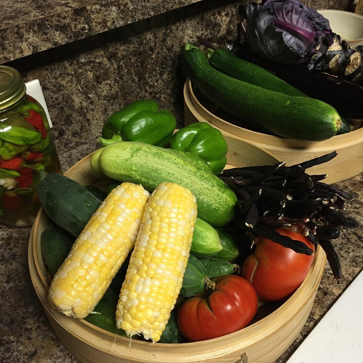 Survival Heirloom Seed Bank Vegetable Medicinal Fruit Herb Garden 50+ Varieties