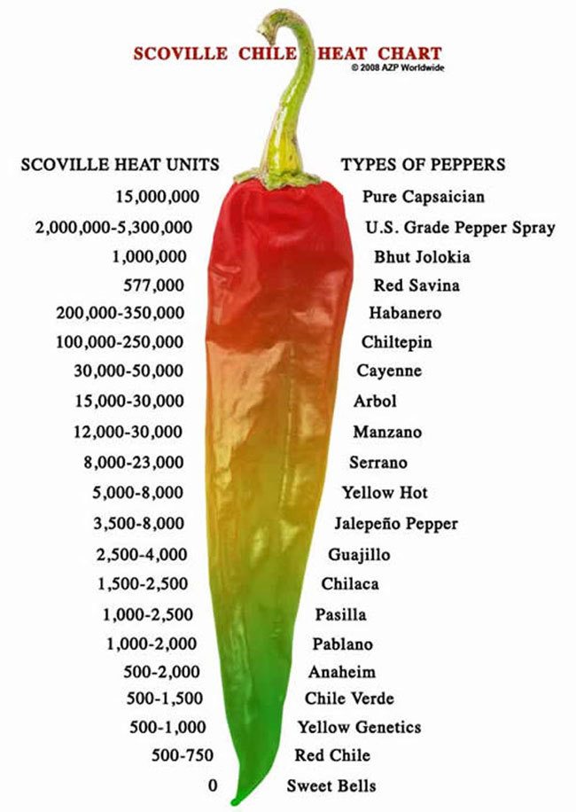 25 SWEET PIMENTO PEPPER SEEDS ~ 2026 ~ heirloomseedguy ~ USA