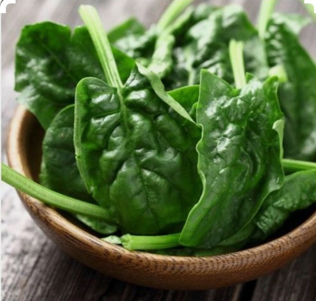 200 Bloomsdale Spinach Seeds-Non GMO-Open Pollinated-Organic-Cool Weather.