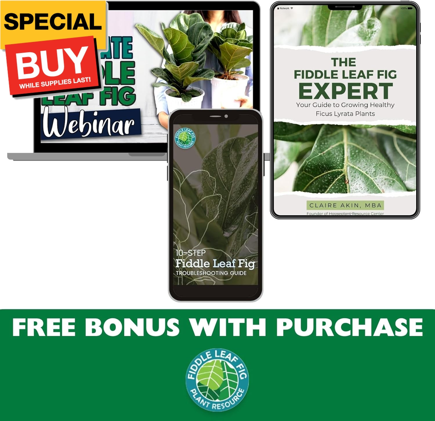 Fiddle Leaf Fig Potting Soil Mix by Fiddle Leaf Fig Plant Resource | Premium Org