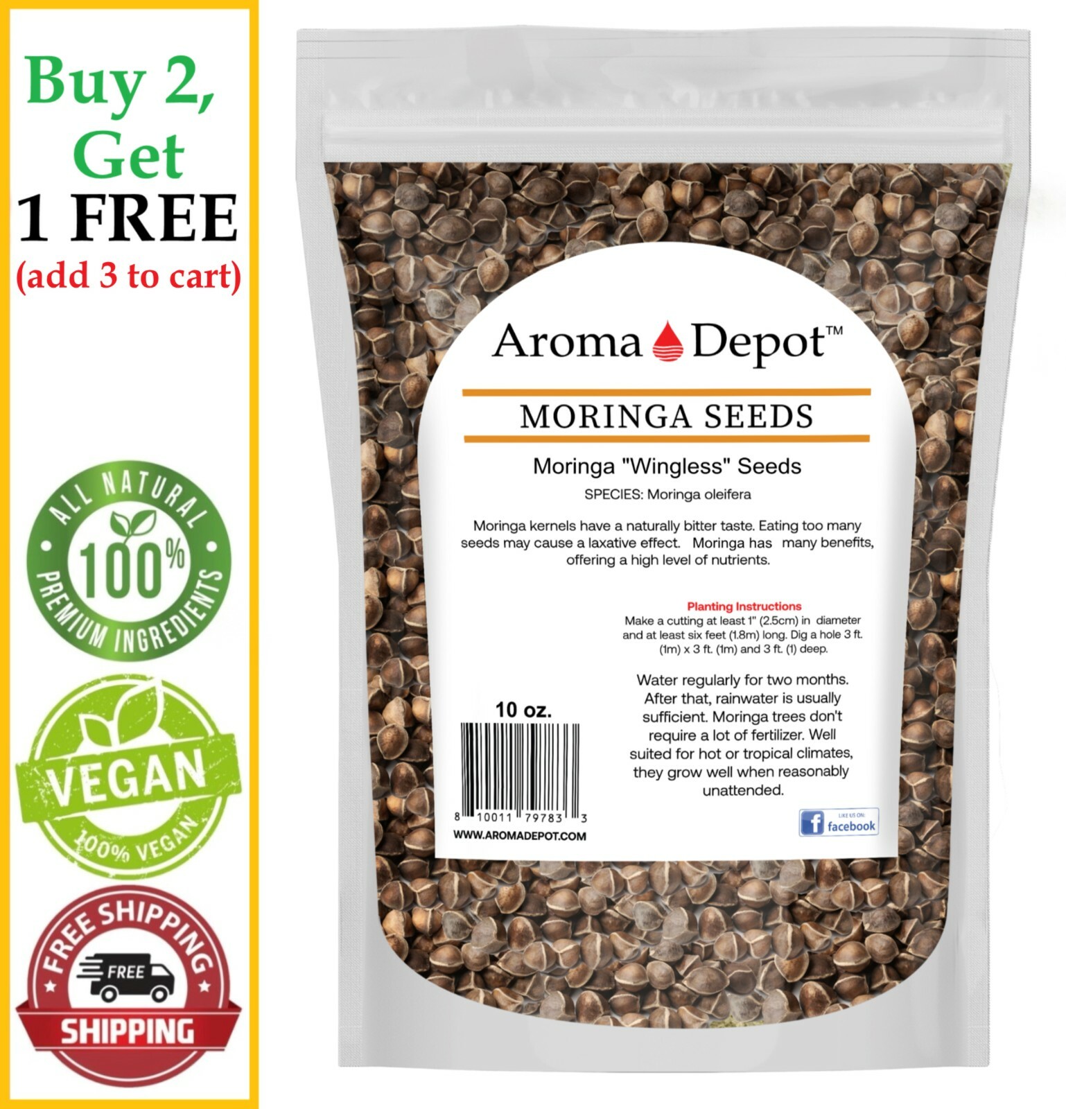 Moringa Seeds 10 oz. Wingless 1000 Semilla de Moringa Oleifera Pepas Malunggay