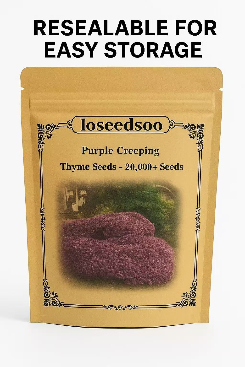 20000+ Creeping Thyme Seeds Purple Ground Cover Perennial Non-GMO Heirloom