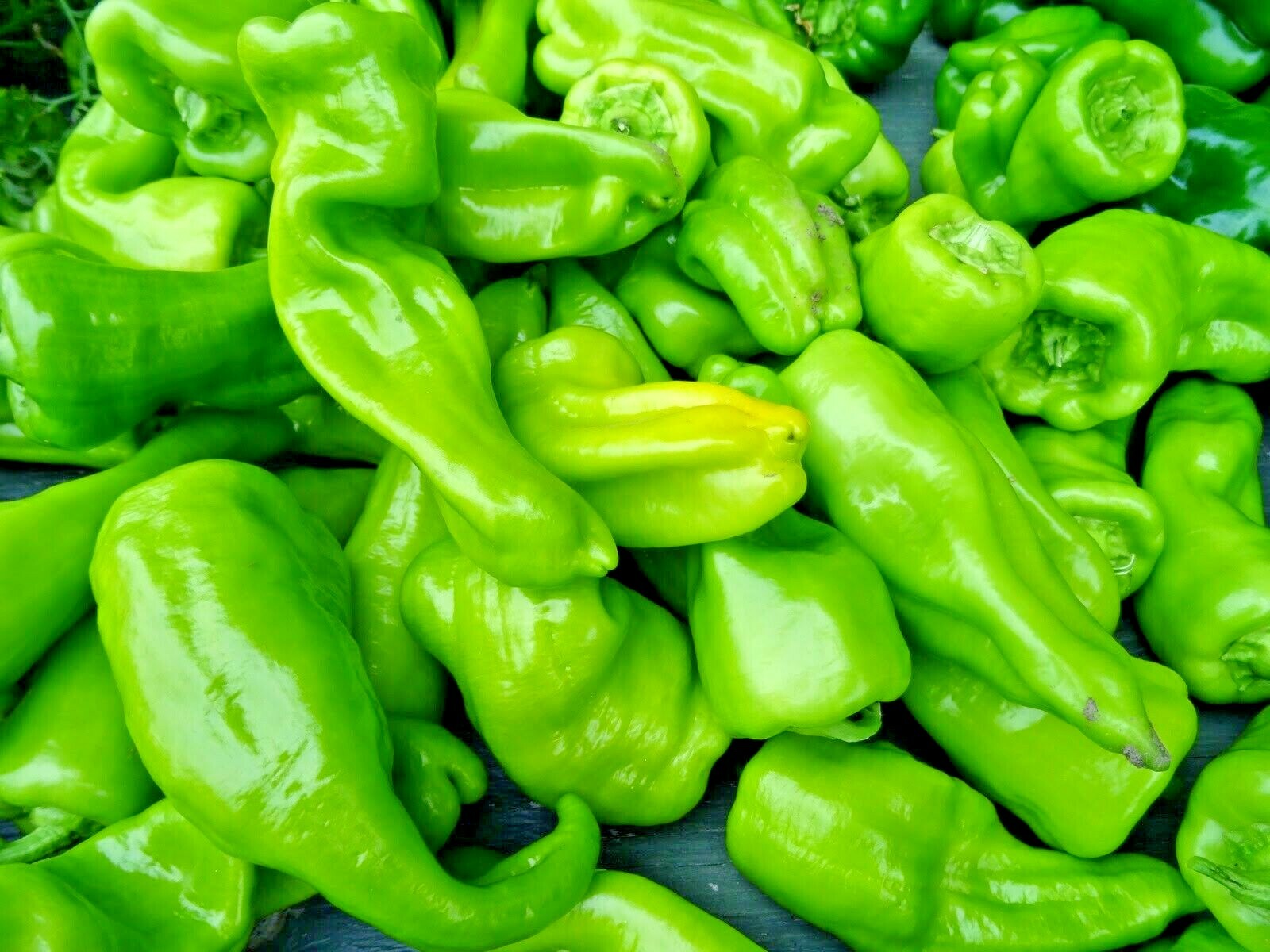 60+CUBANELLE Sweet PEPPER Seeds Organic Vegetable Garden Patio Container Easy
