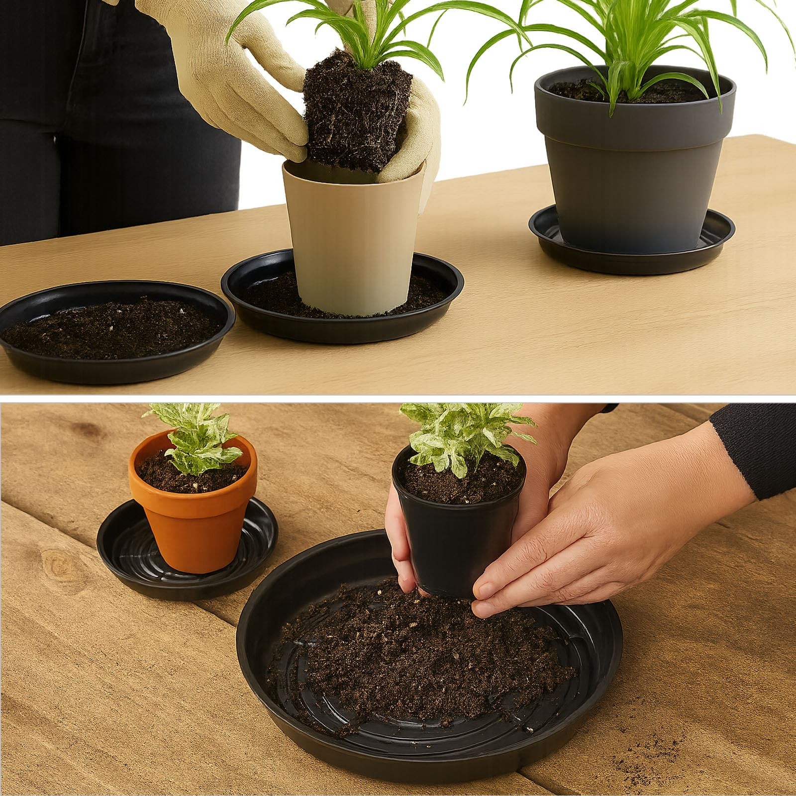 30-Pack 8″ Heavy Duty Plastic Plant Saucers for Indoor/Outdoor Use