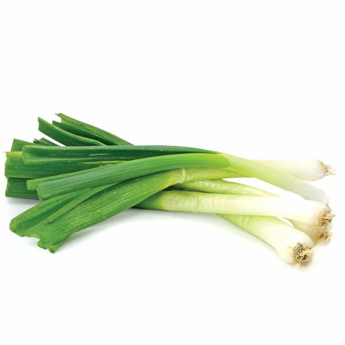 Toky Long White Bunching Onion Seeds