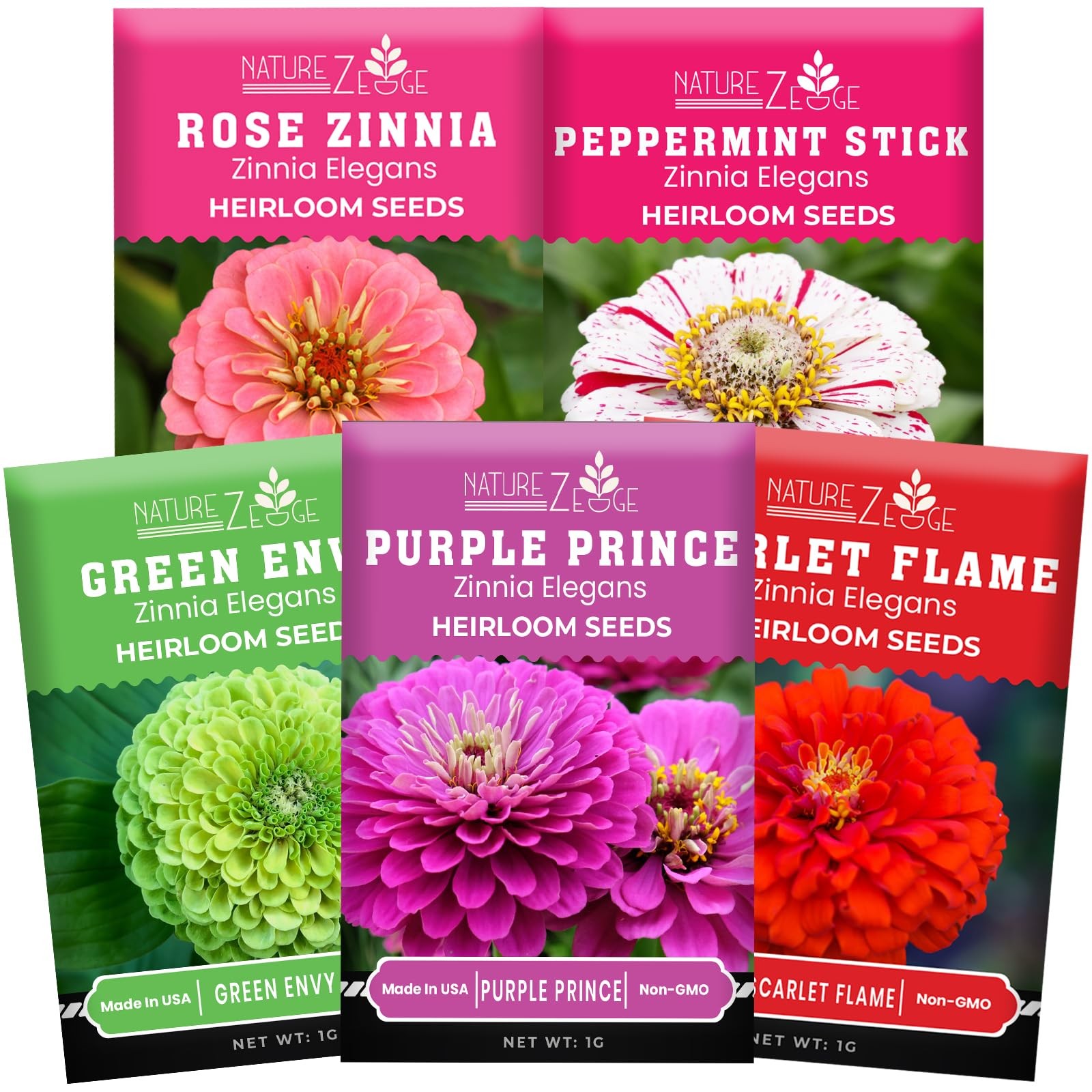 NatureZ Edge Zinnia Seeds for 2026 Planting 5g, Variety Mix Multi Color
