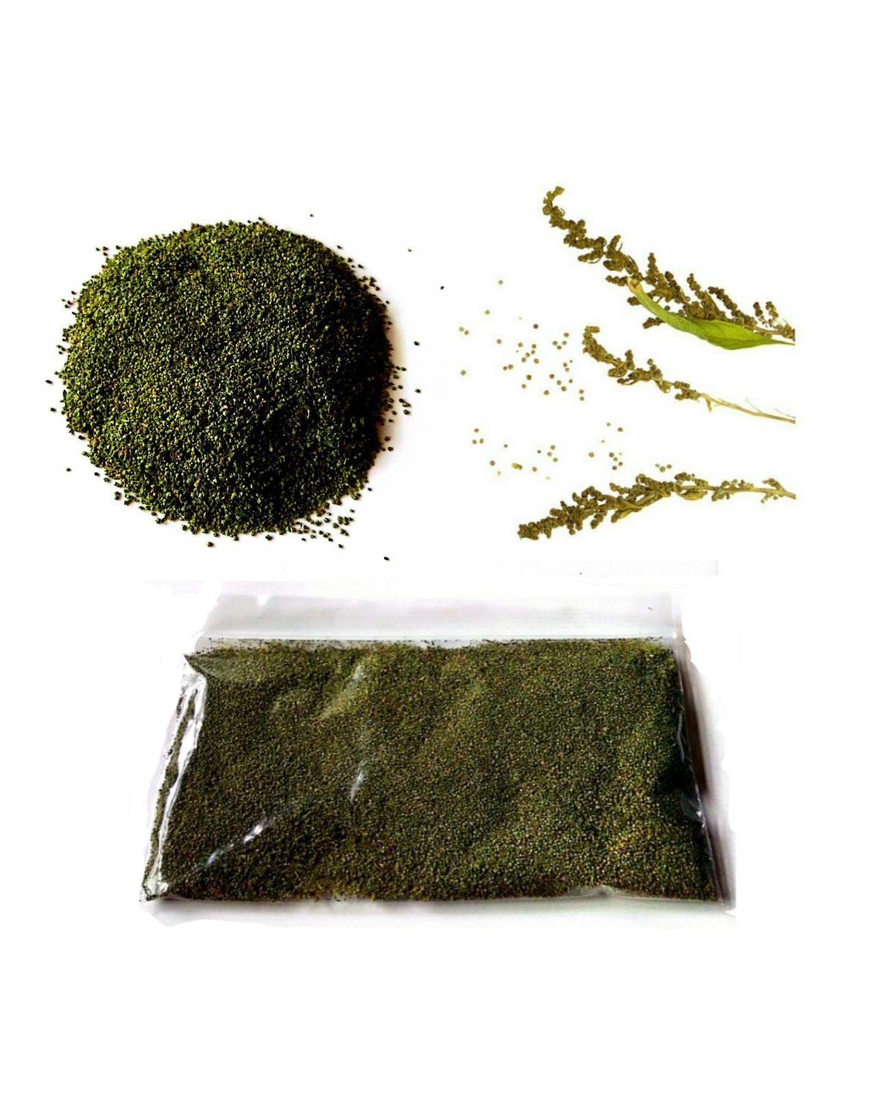 (3) 1 Oz. Packages-Organic Epazote Herb Bulk Seeds
