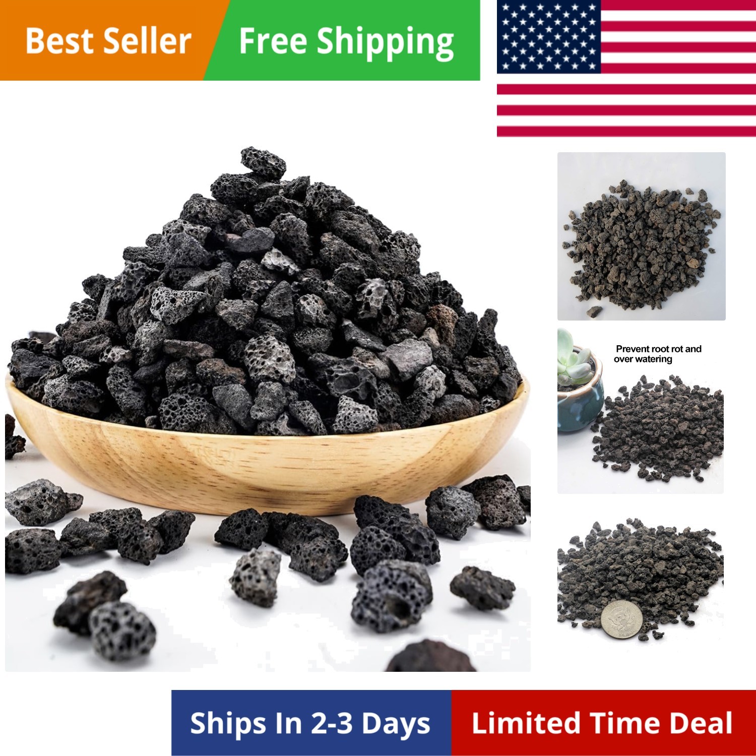 6lb Black Lava Rock for Plants, Natural Horticultural Volcanic Grit, Cactus S…