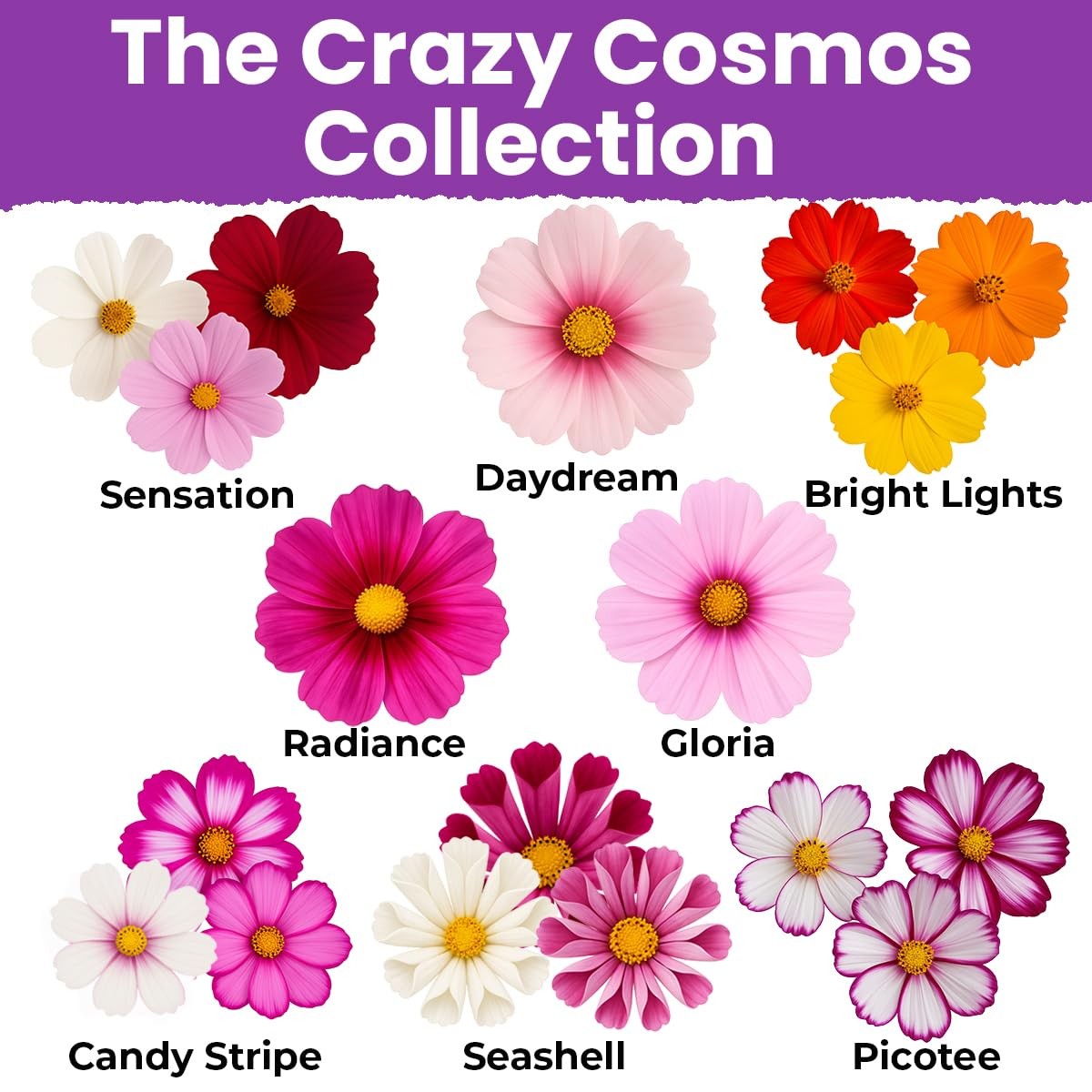 NatureZ 15g, Mixed Colors, Pink, Red, White, Scarlett, Orange, Yellow, Purple