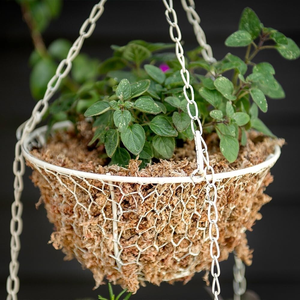 Long-Lasting Orchid and Succulent Sphagnum Moss – Essential Plant Care Solution