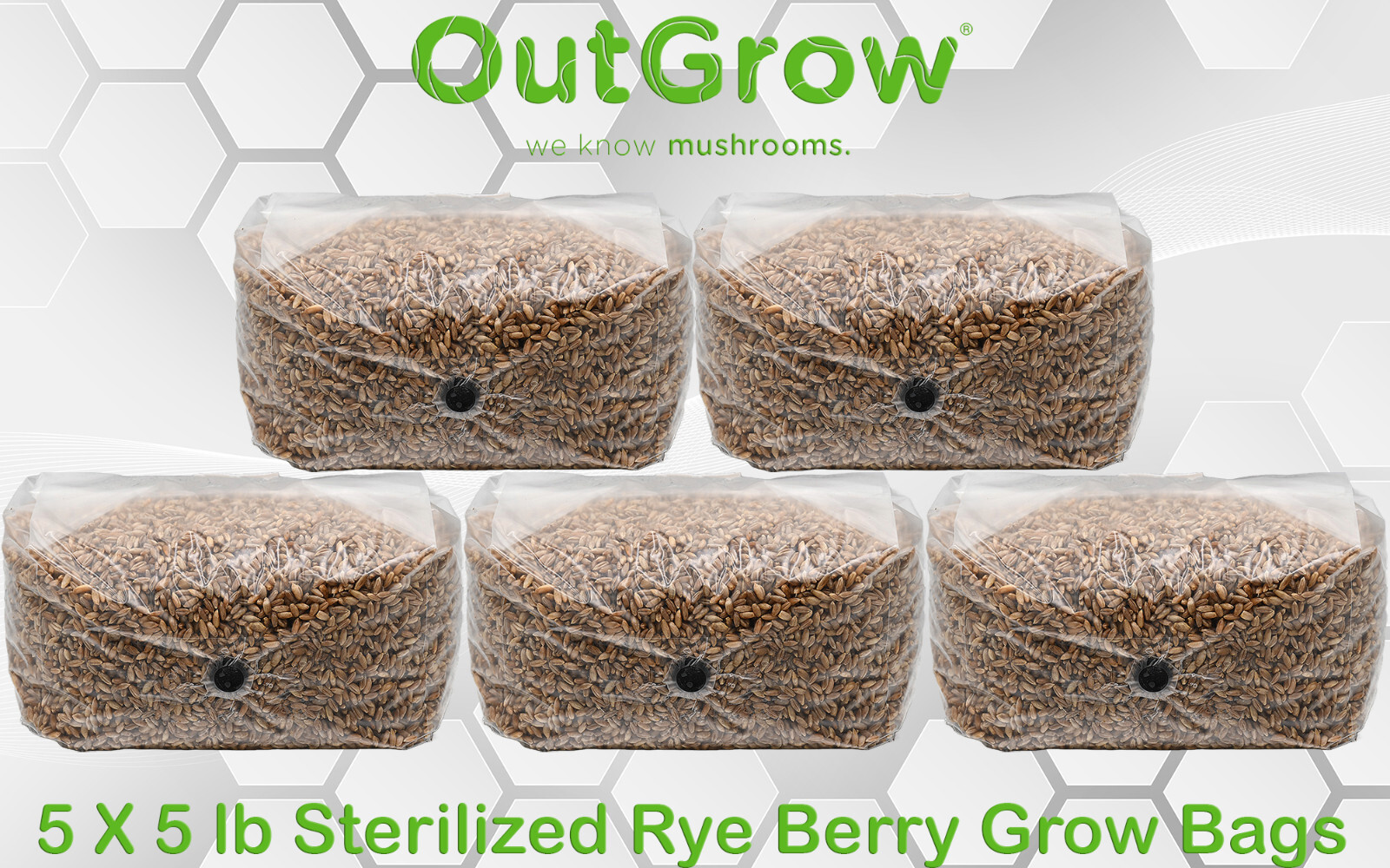 Sterilized Rye Berry Grow Bag (25lbs)
