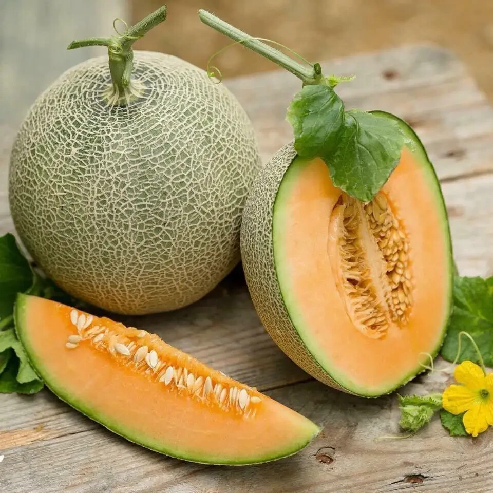 50 Heirloom Hales Best PMR Cantaloupe Seeds – Almost Immune To Powdery Mildew!