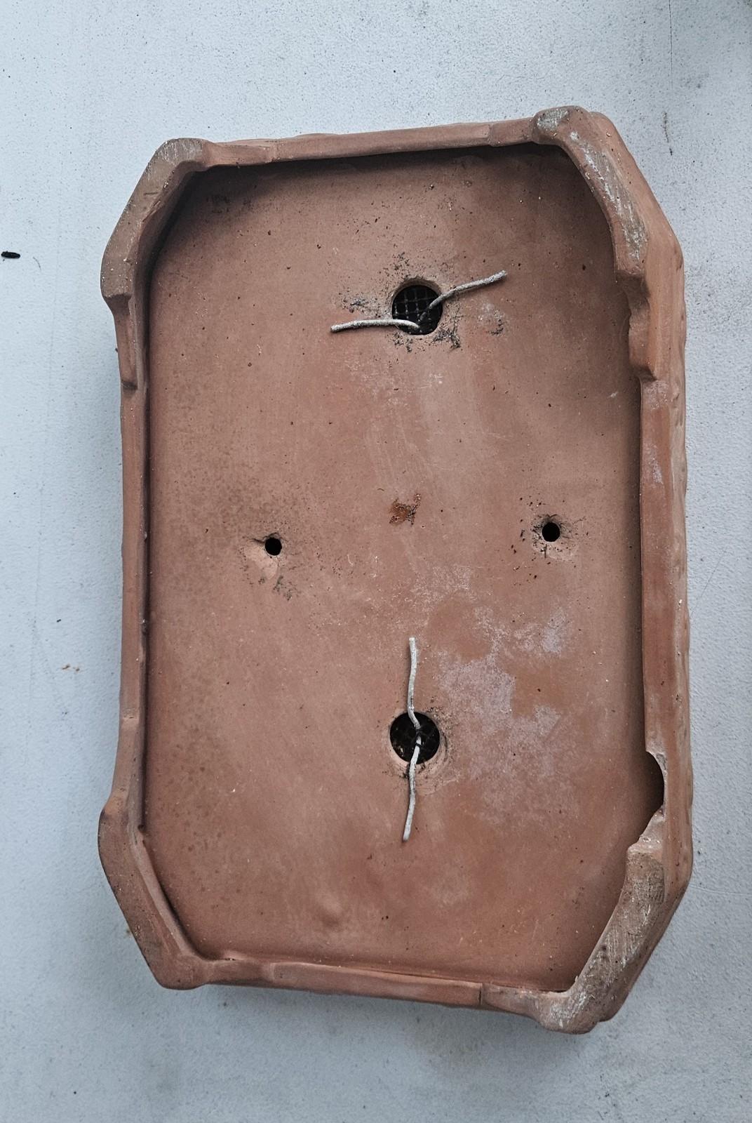 Terracotta Pot/Tray Drilled For Use As Bonsai Pot