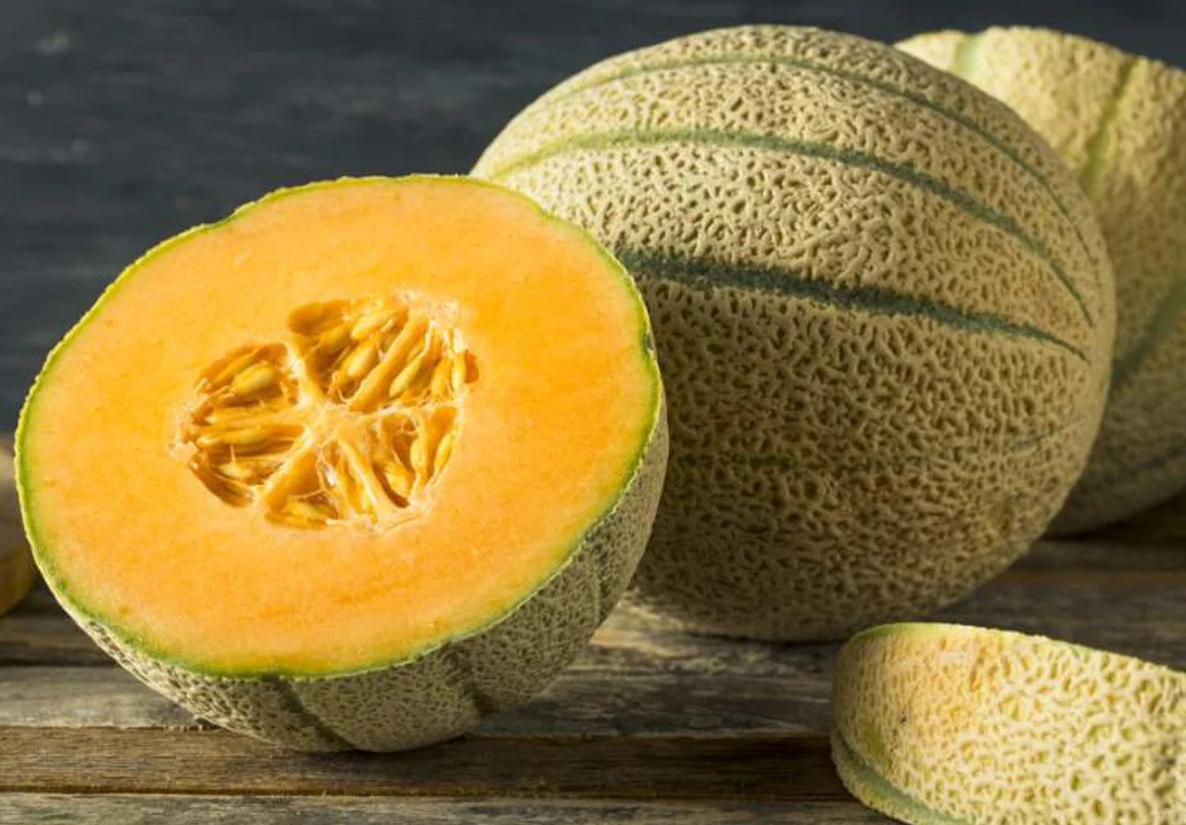 200+ HONEY ROCK CANTALOUPE – MELON – HEIRLOOM – ORGANIC – NON-GMO —- FRESH