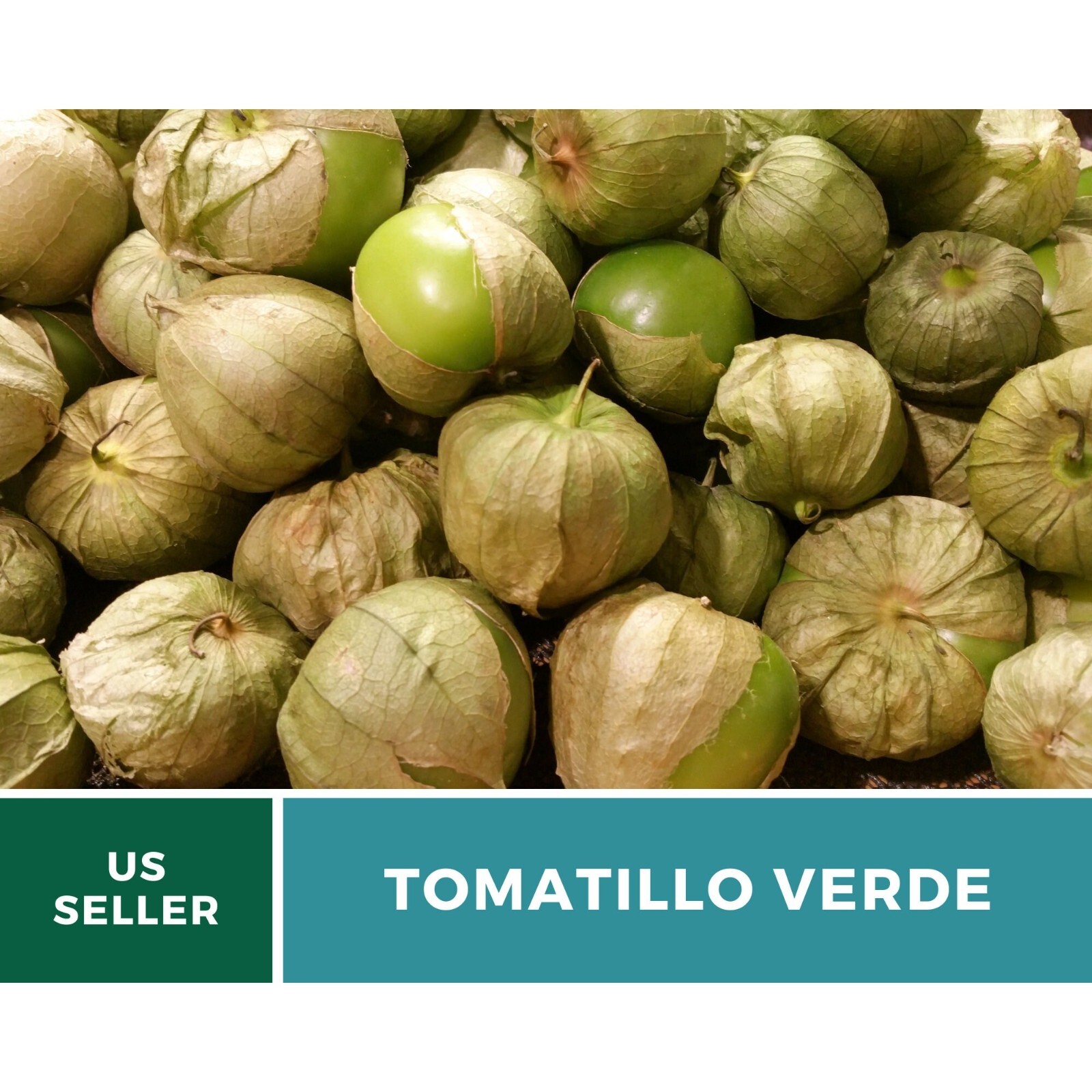 Salsa Seed Collection – Restaurant Style – 10 Amazing Seed Varieties – Perfect f