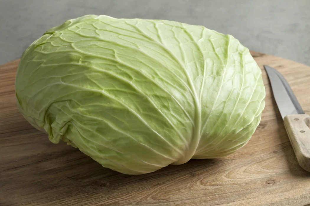 500+ Late Flat Dutch Cabbage Seeds — Heirloom — NON GMO — FRESH
