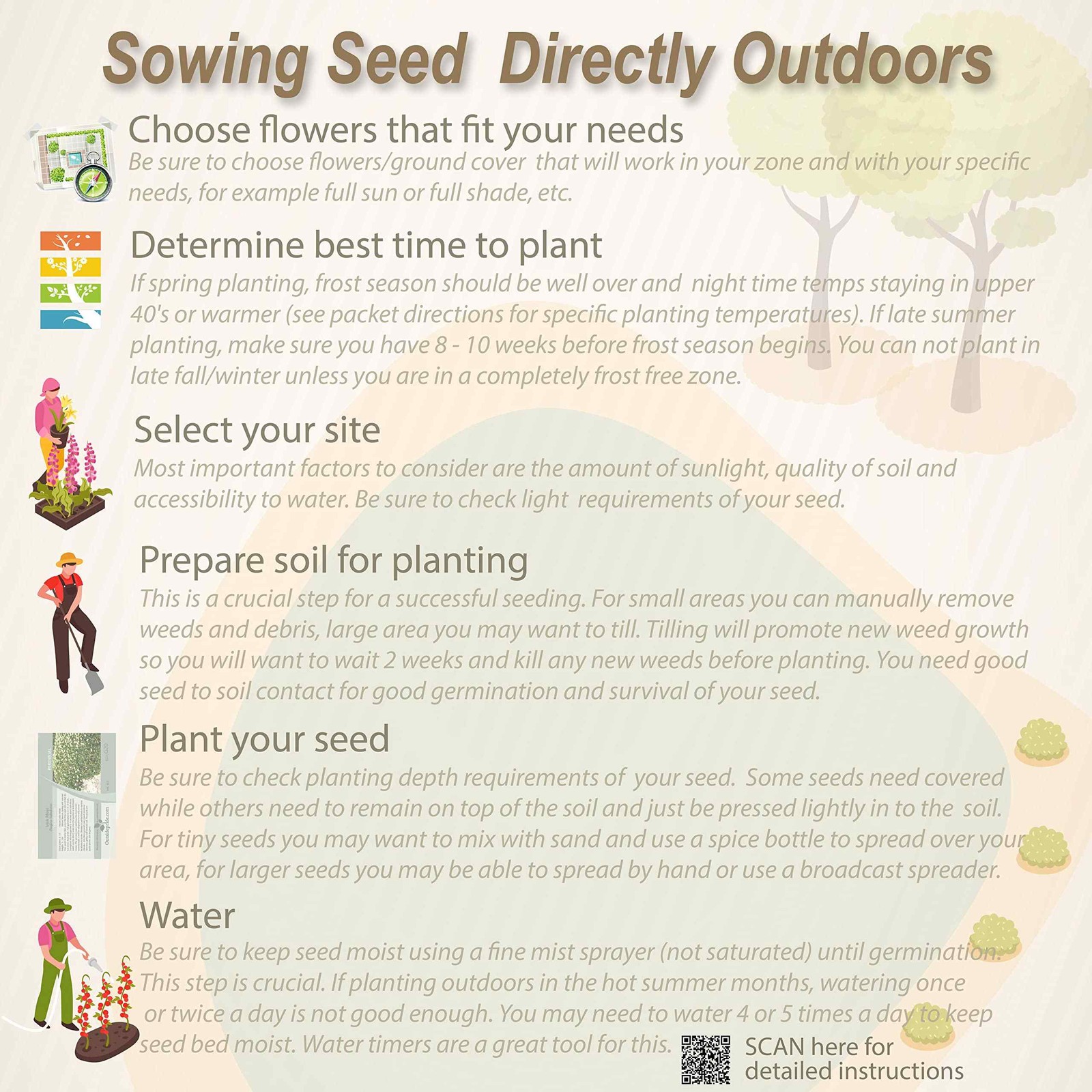 1 LB Texas and Oklahoma Wildflower Seed Mixes For Planting Outdoors
