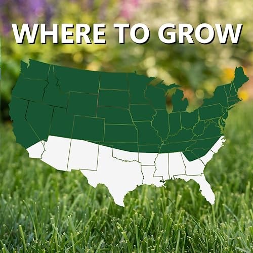 Dense Shade Grass Seed for Cool Season Lawns – 25 lb Black Beauty Blend