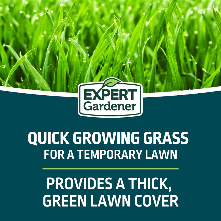 Expert Gardener Kwik Grass Seed Mix, for Sun to Partial Shade, 3 lb, Free Ship