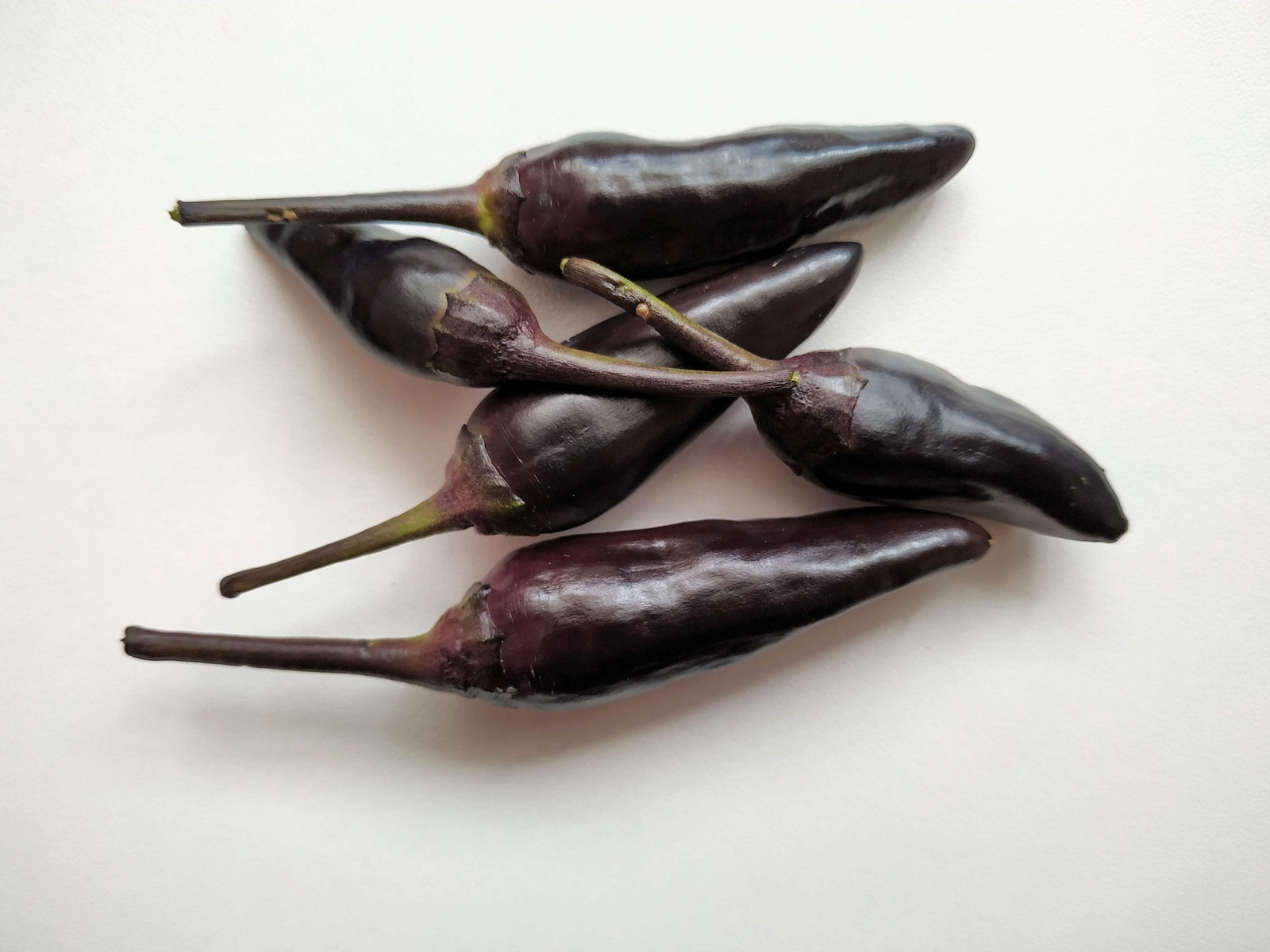 20 ROYAL BLACK PEPPER Capsicum Annuum Very Hot Chilli Vegetable Seeds *Flat Ship