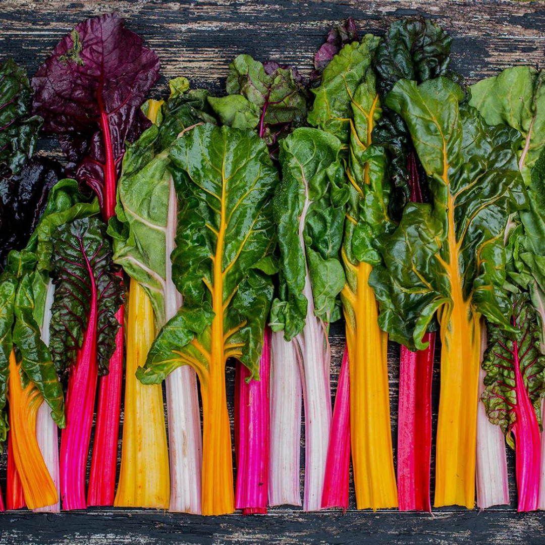 Fresh Premium Rainbow Swiss Chard Seeds | Heirloom Non-GMO | Vegetable Seeds